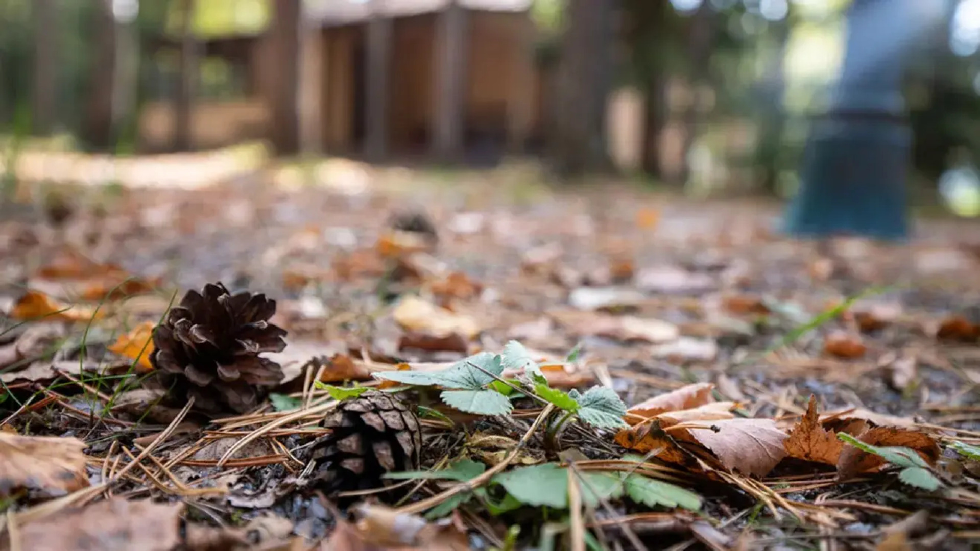 Отель База отдыха Заветное