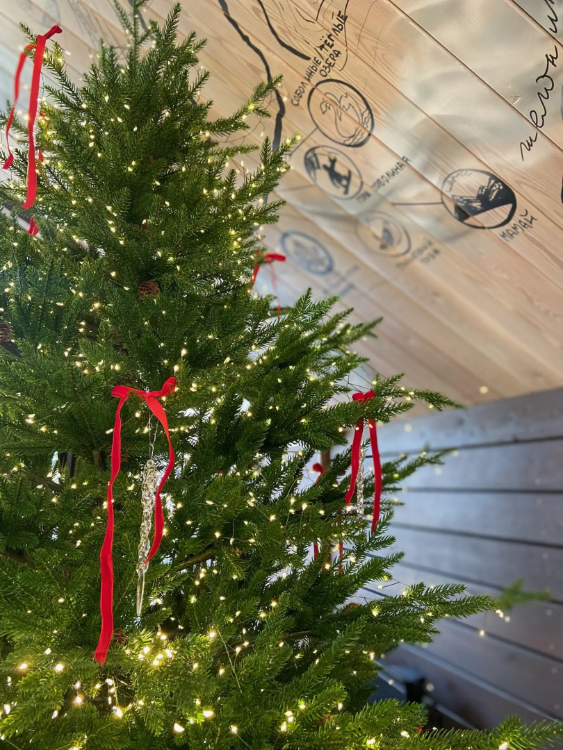 Меблированные комнаты Шишки