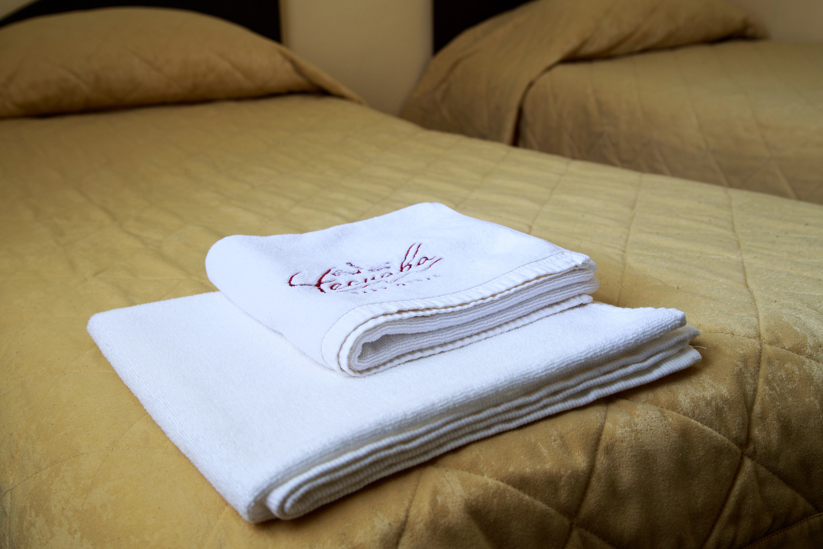 Парк-отель Чеснава