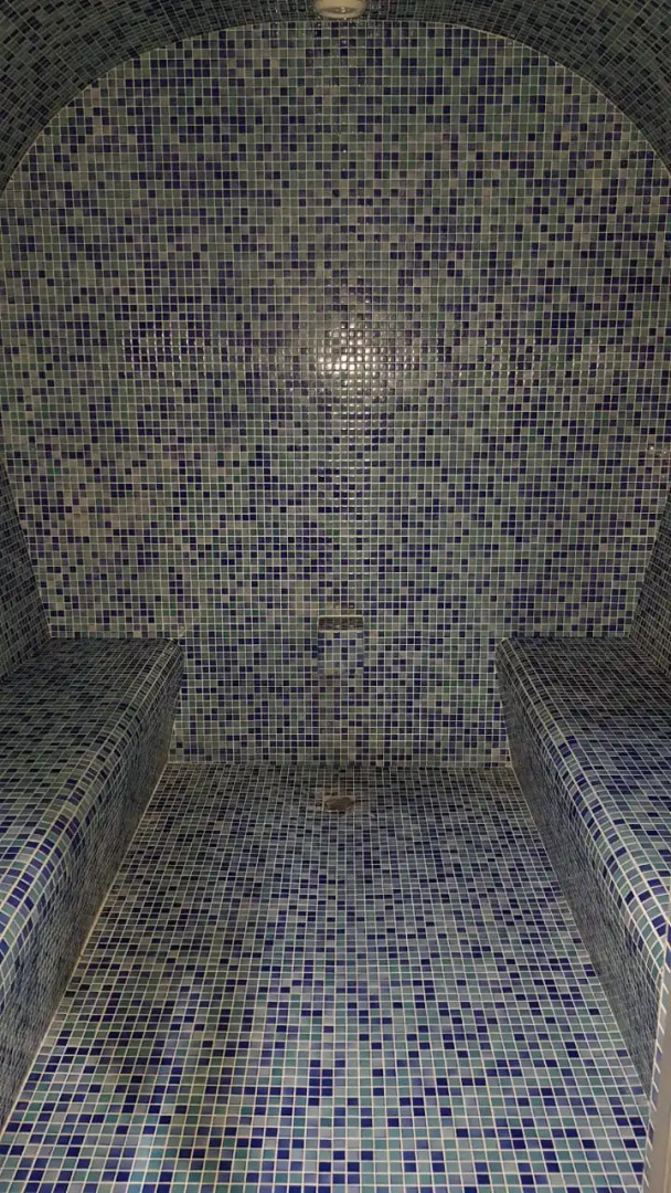 ORBI PALACE BAKURIANI Apart-hotel