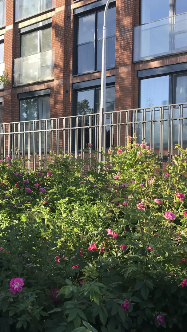 Квартира на берегу Финского залива