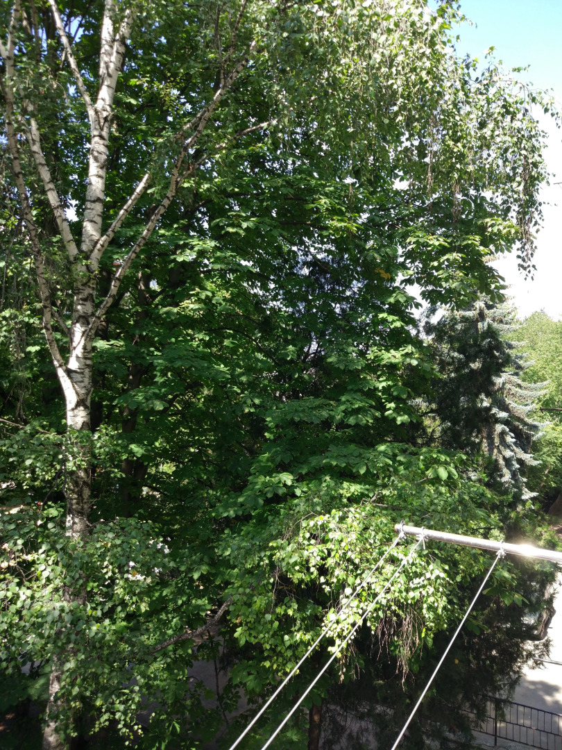 Квартира Трехкомнатные на Водах