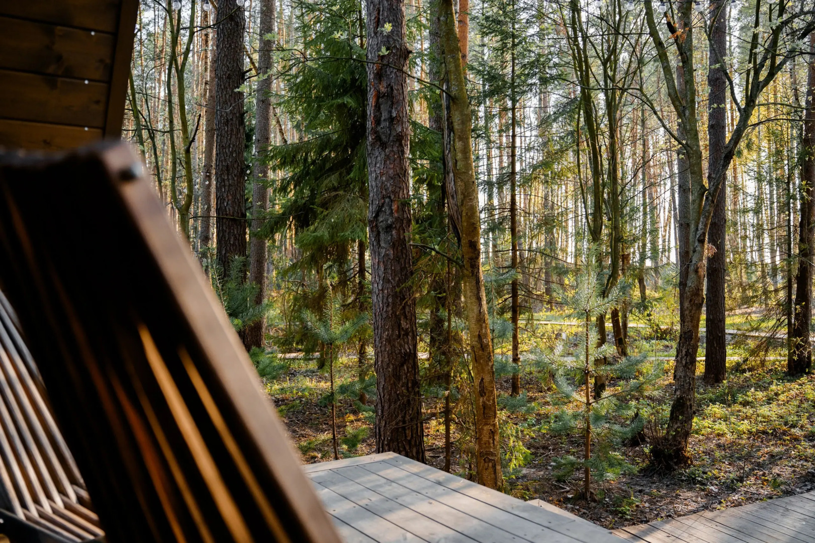 Глэмпинг Море