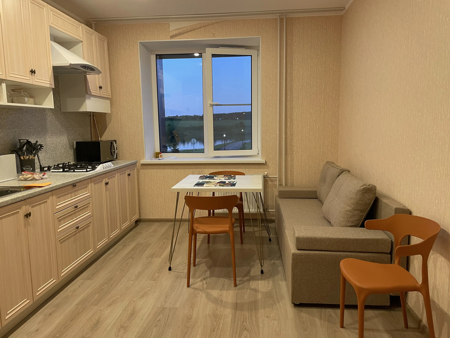 Квартира Видовая 1-комнатная квартира у воды в курортной зоне Завидово