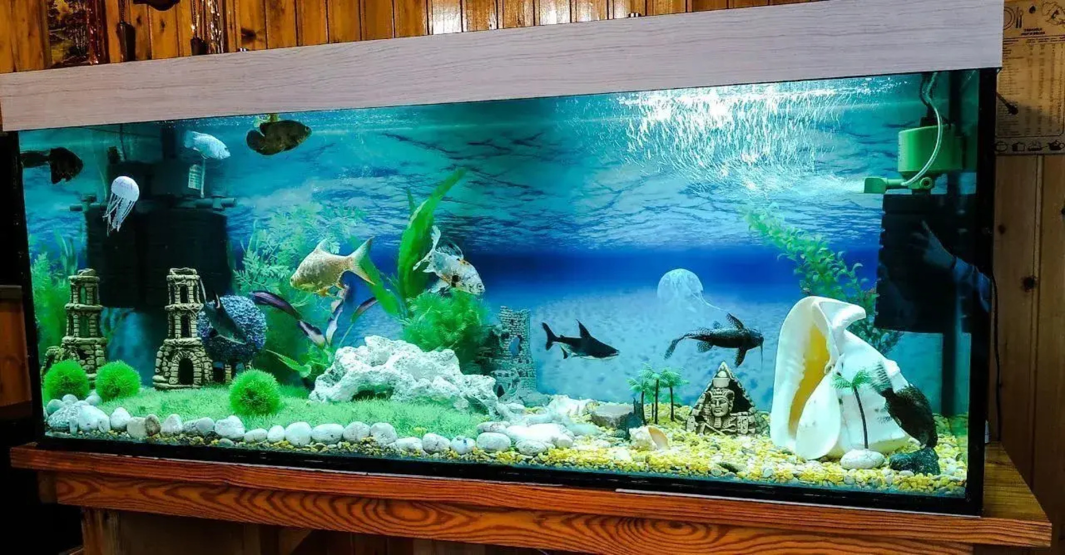 Частный дом с баней и бассейном