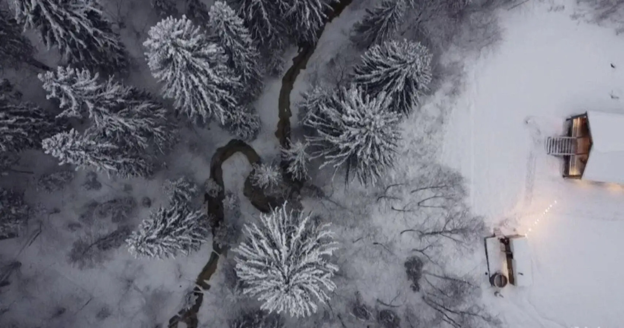 Гостевой дом Хвойный Лес А-фрейм