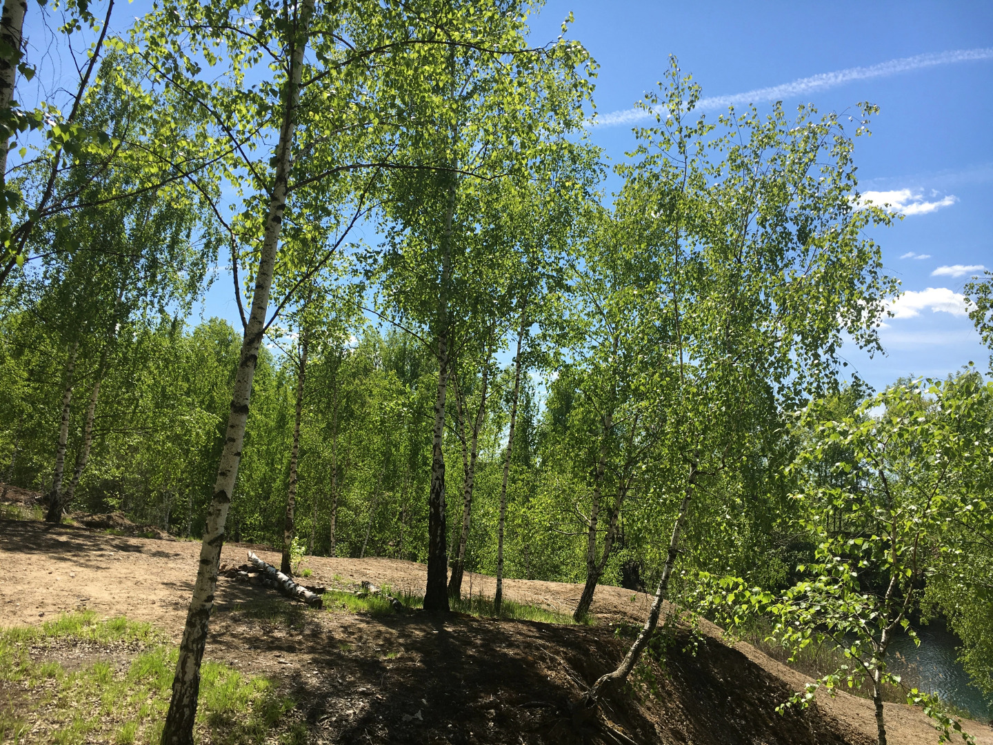 Загородный клуб Владимир