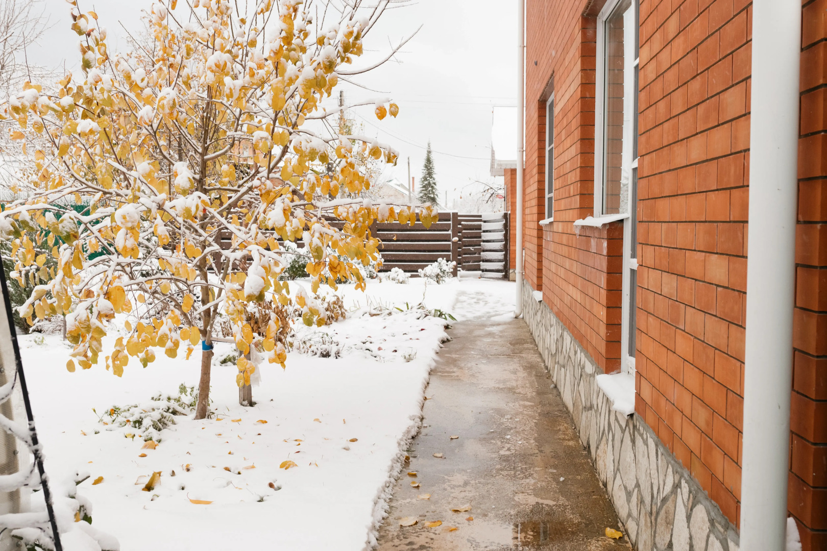 Частный дом Dacha Marii