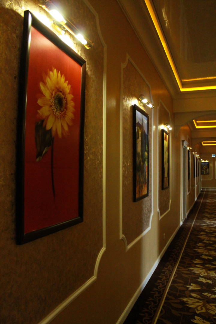 Отель Ковчег