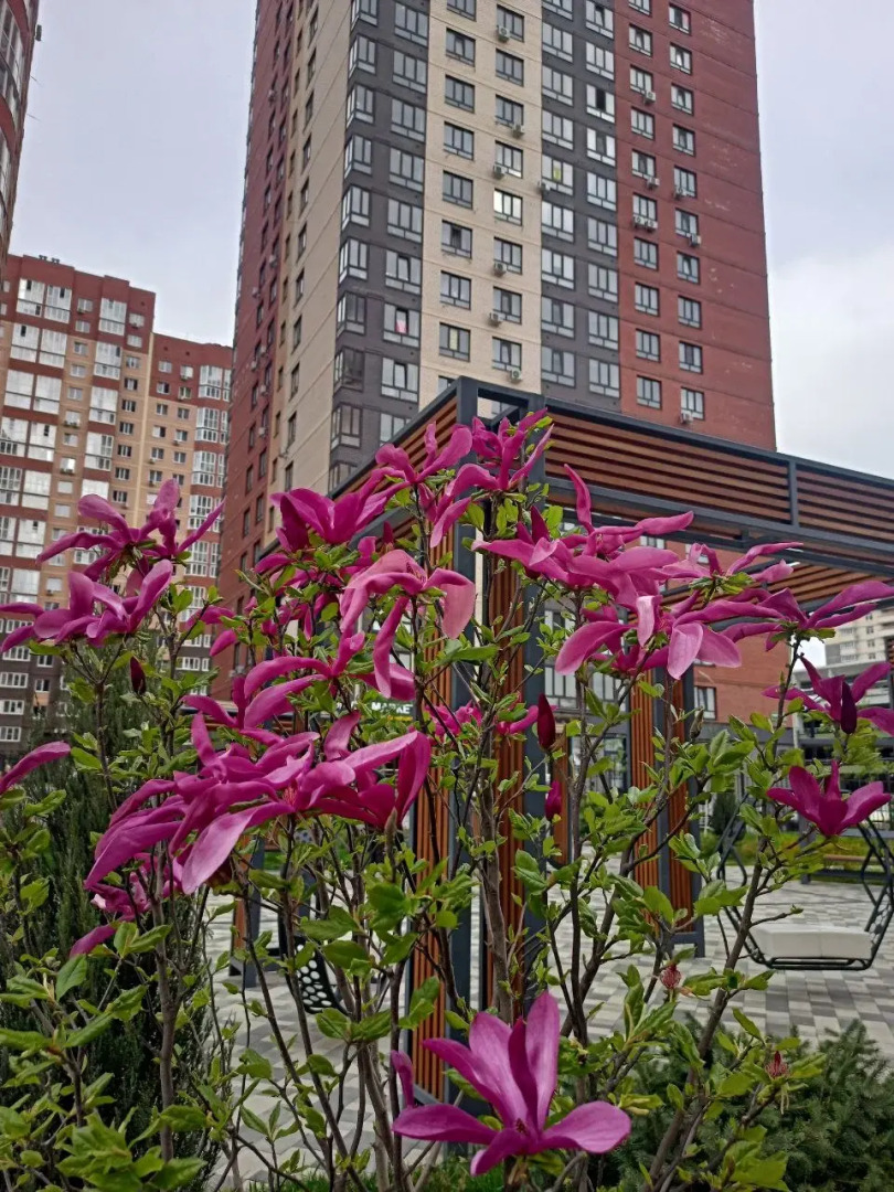 Квартира Девушка и Журавль от Vgosti61