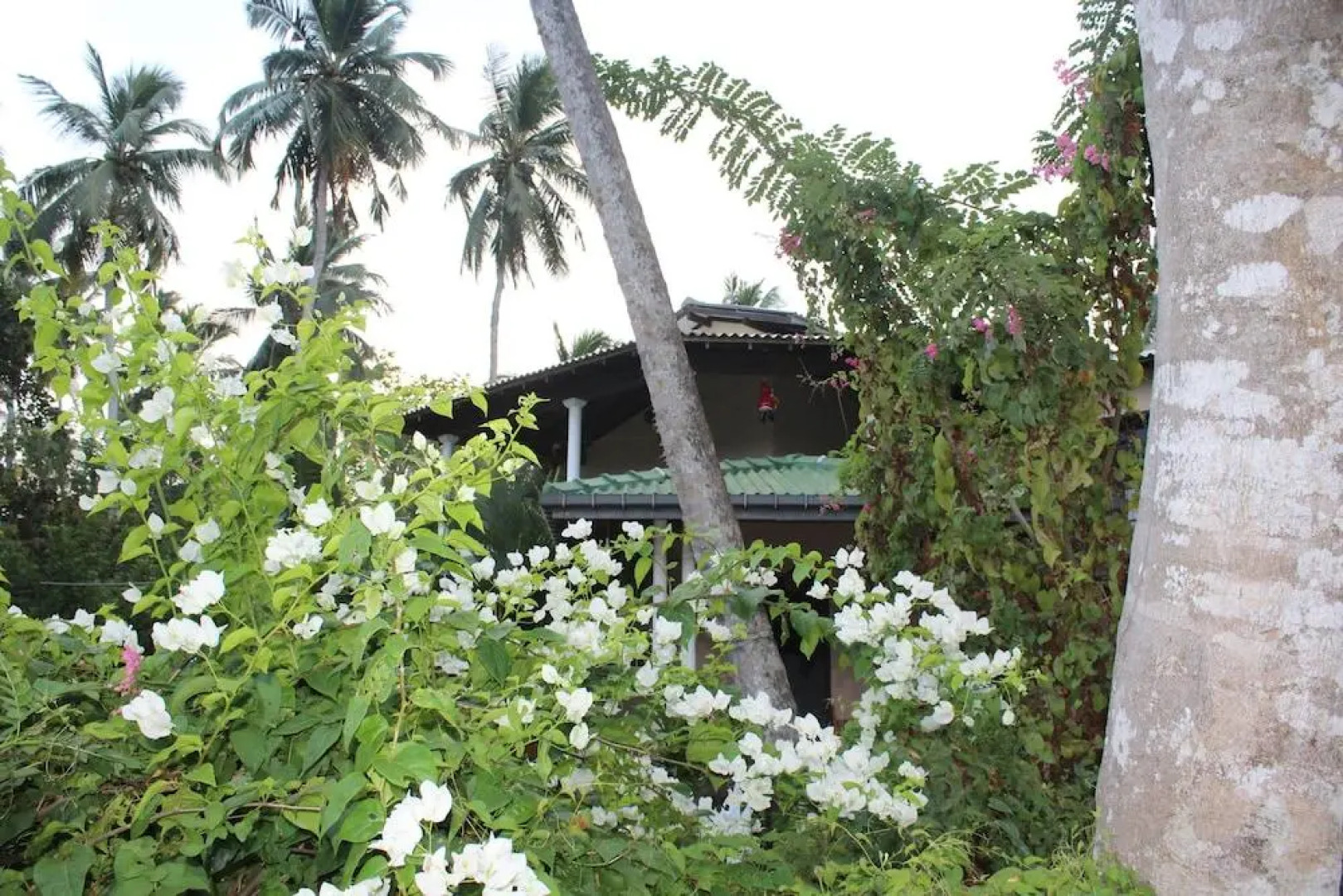 Отель All View Resort