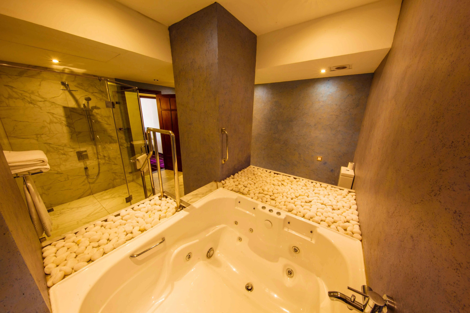 Отель The Steuart by Citrus