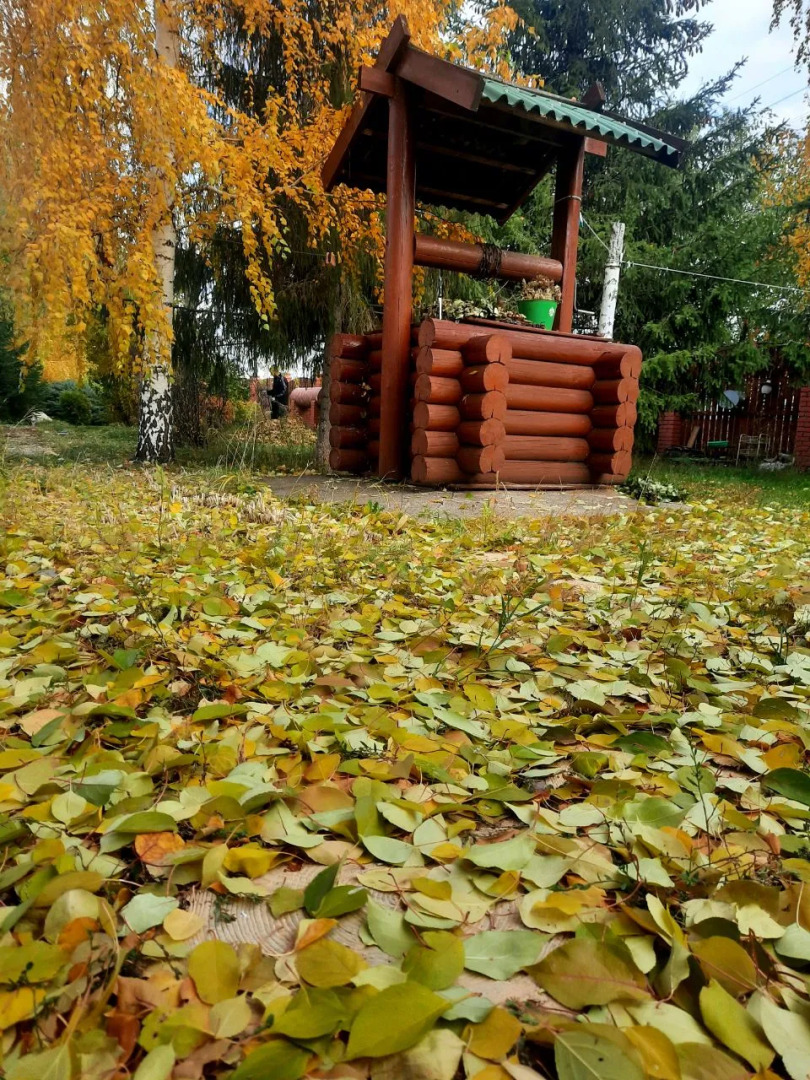 Гостевой дом Усадьба в Большекулачье