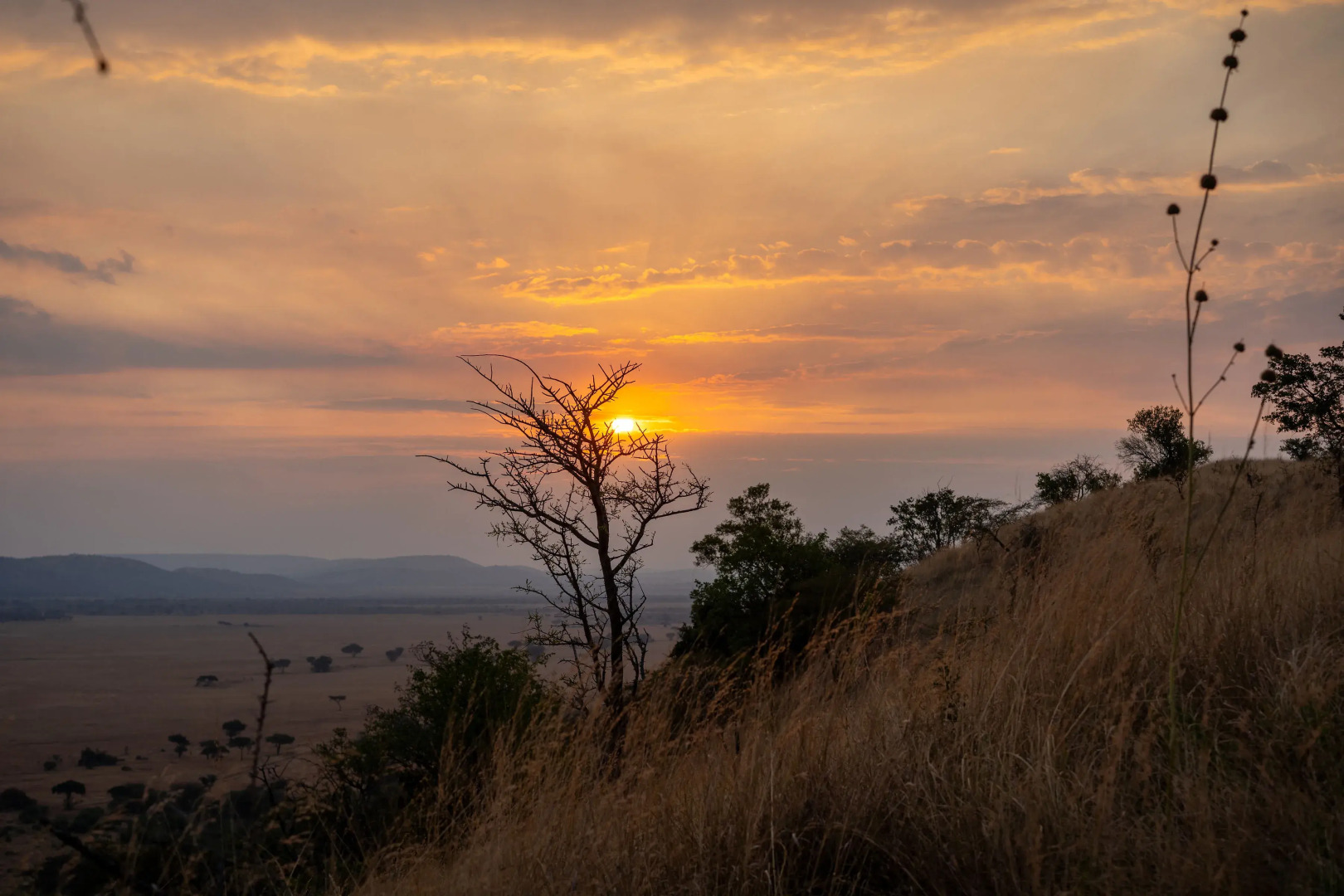 Отель Neptune Serengeti Luxury
