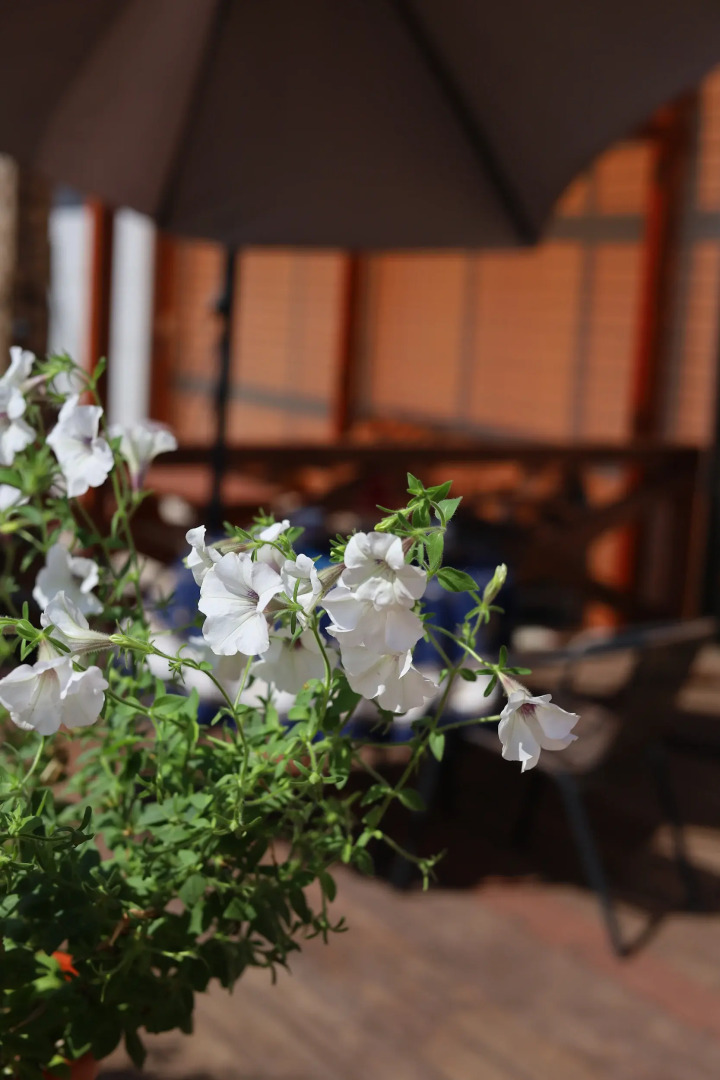 Частный дом Роскошный гостевой дом KaliLaskaBY, в сердце Витебска