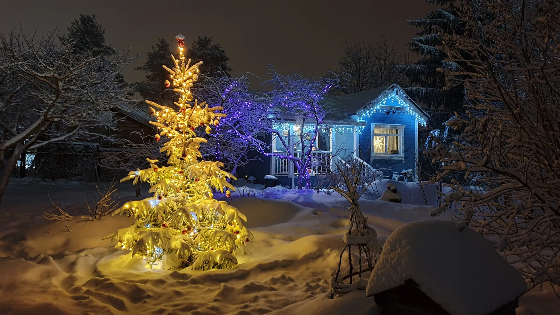 Гостевой дом Лосиный Тупичок