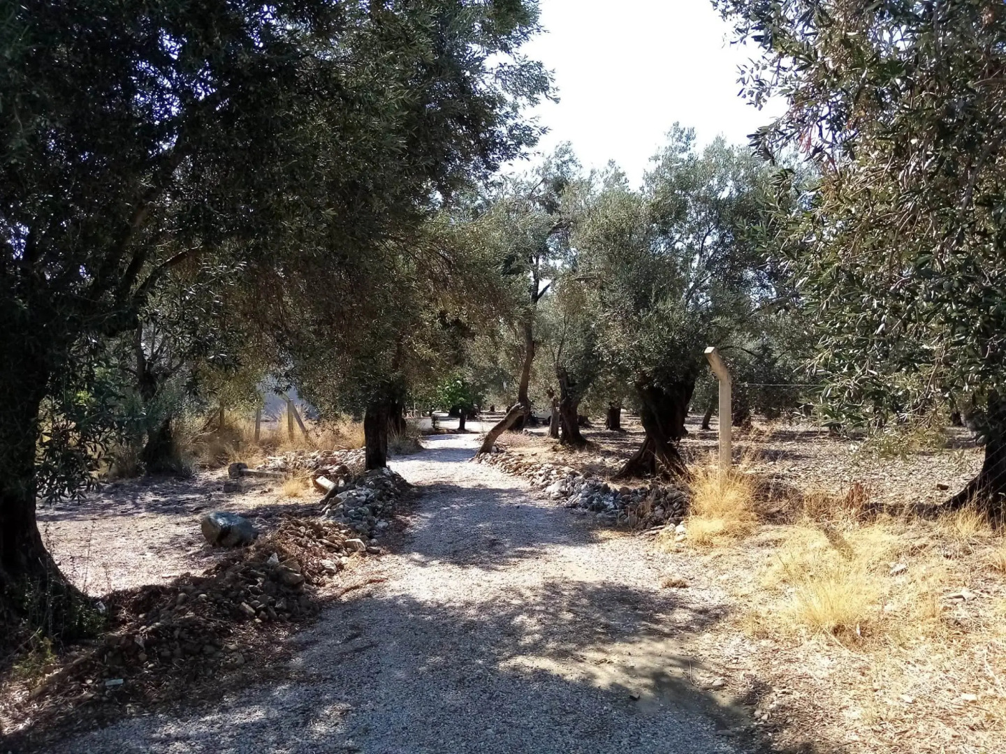 Вилла Yazduf Family Holiday Homes