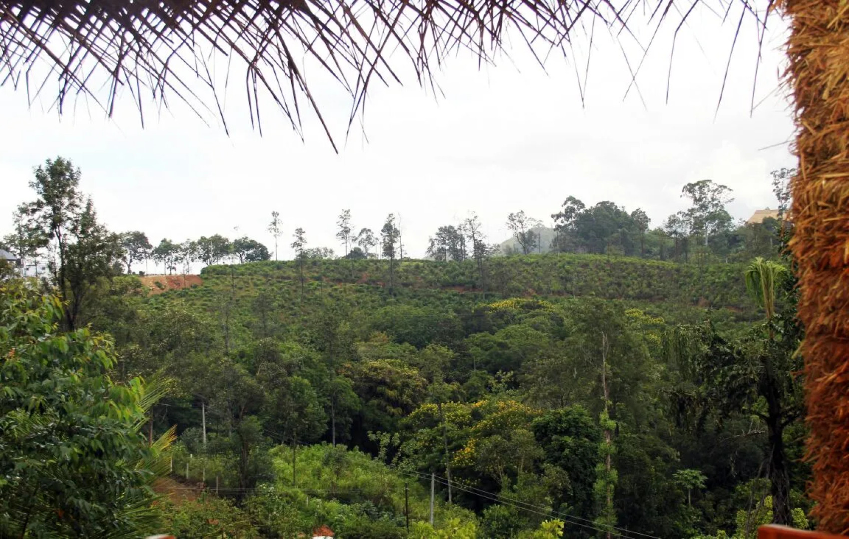 Мини-Отель Ella Sisila View