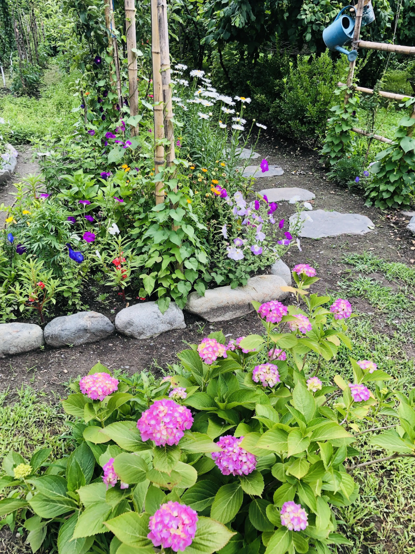 Guesthouse STAR Lagodekhi