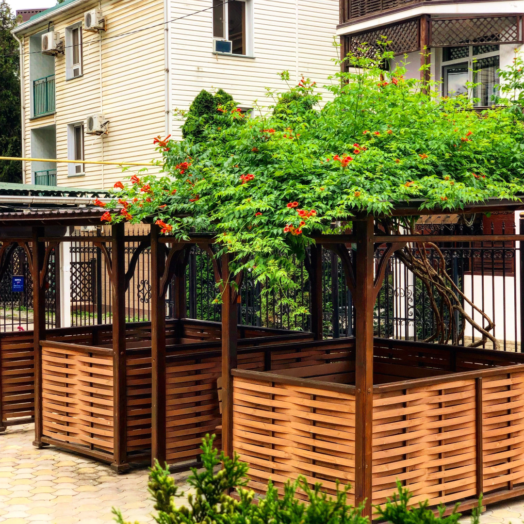 Гостевой Дом Роза Ветров