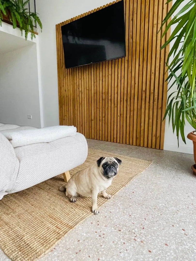 Апартаменты Familiya Gurzuf 12