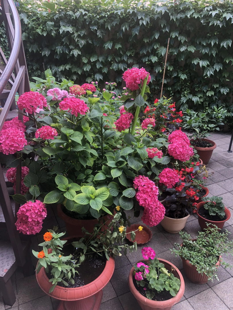 Гостевой дом Сальма