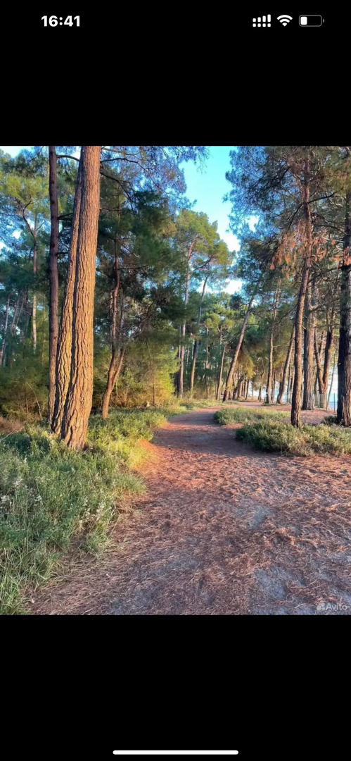 Гостевой дом Леон 10