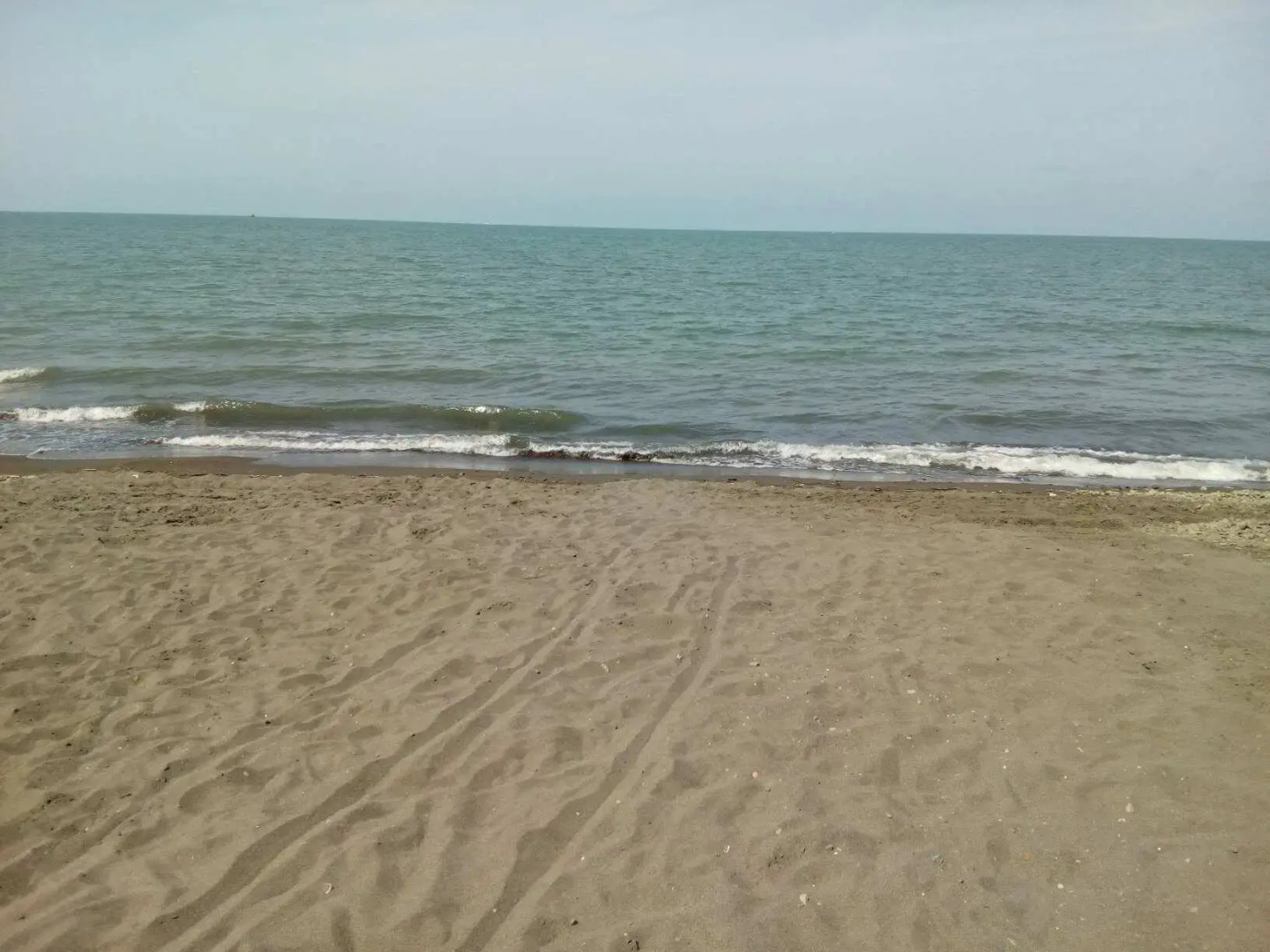 Отель Бахмаро 2812