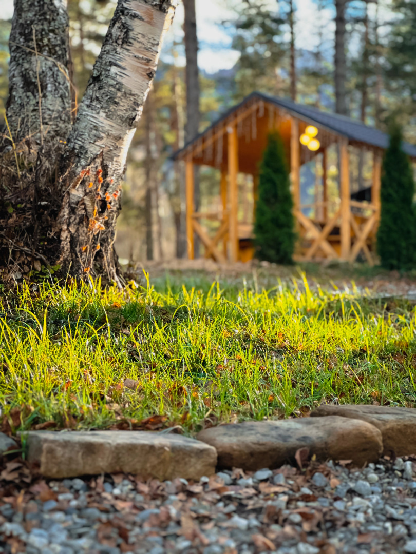 Шале Хвоя трехкомнатный люкс