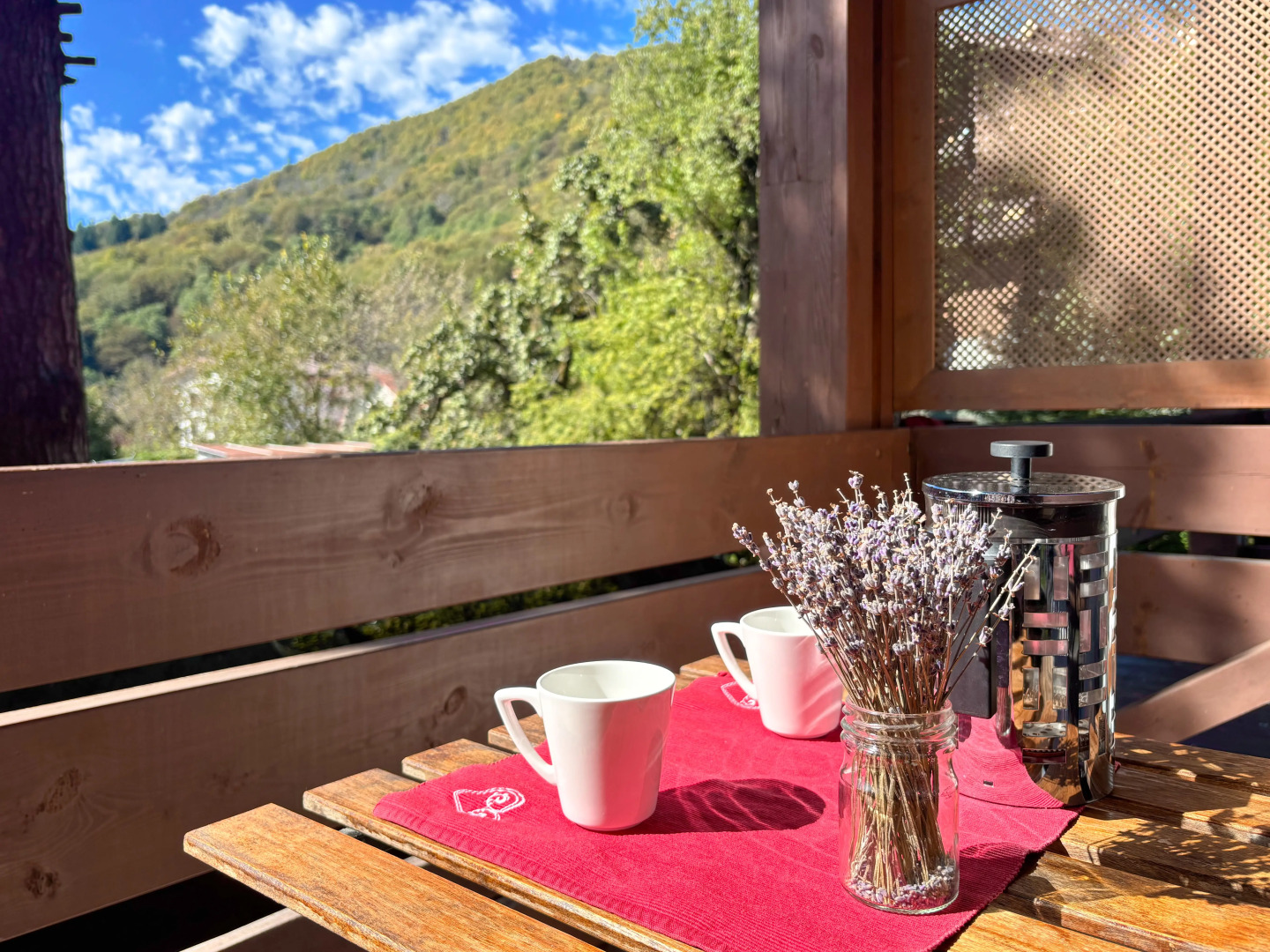 Квартира С отдельной спальней и балконом в центре Поляны