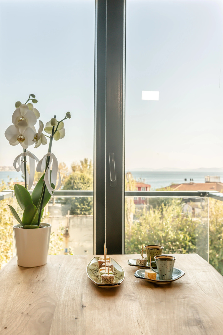 Отель The Camelot