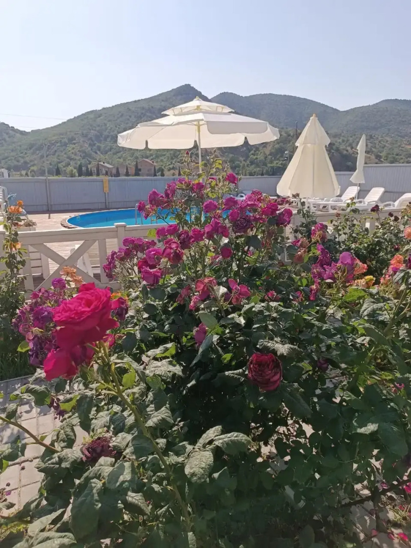 Гостевой дом La Fiesta Веселое