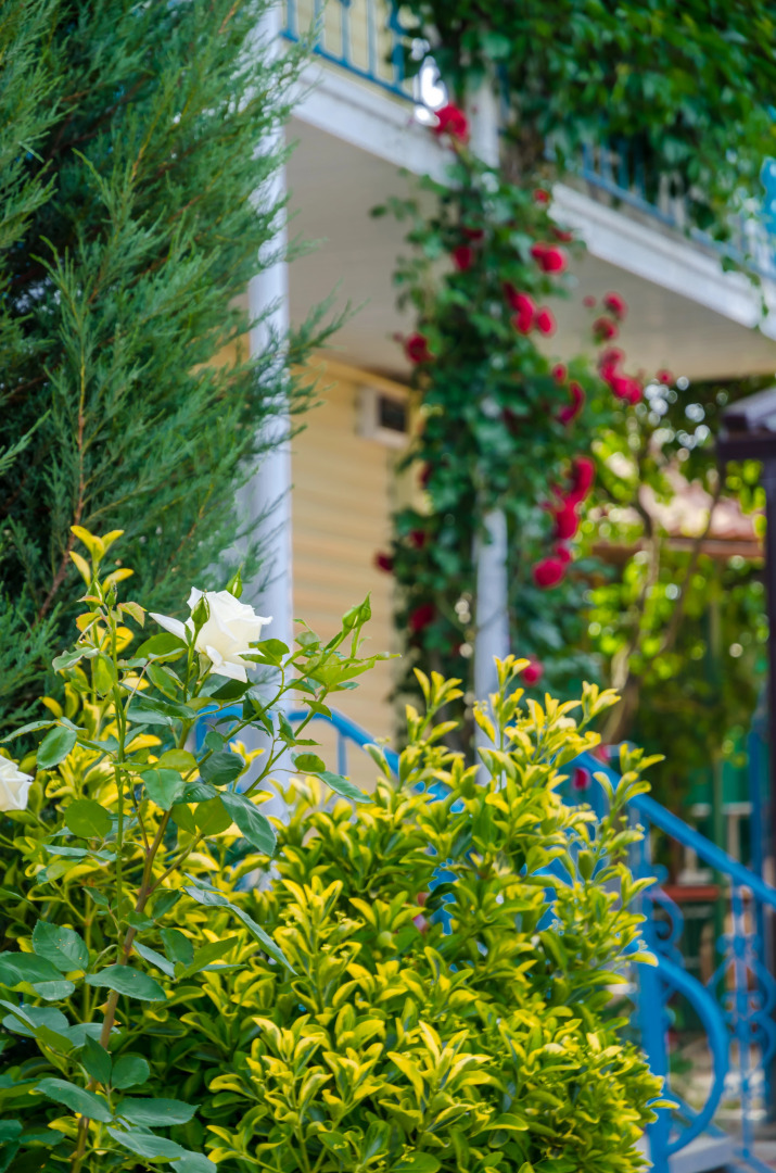 Гостевой Дом Гелиос