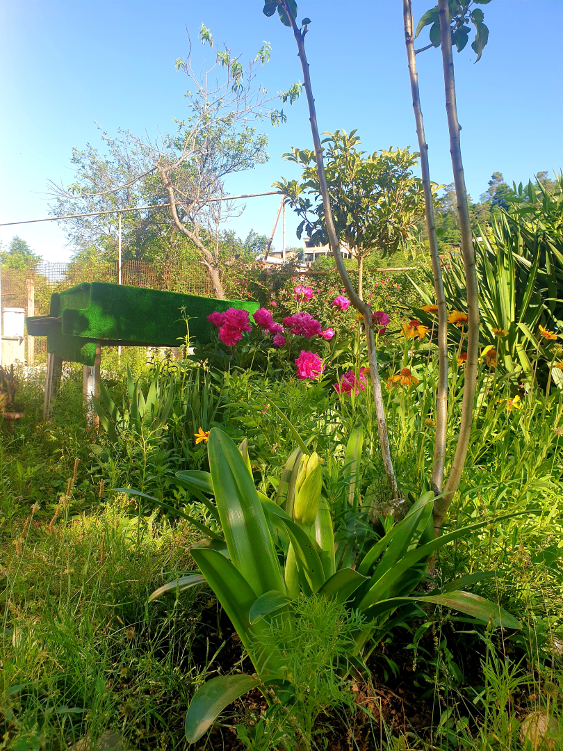 Гостевой дом Four Seasons Kutaisi