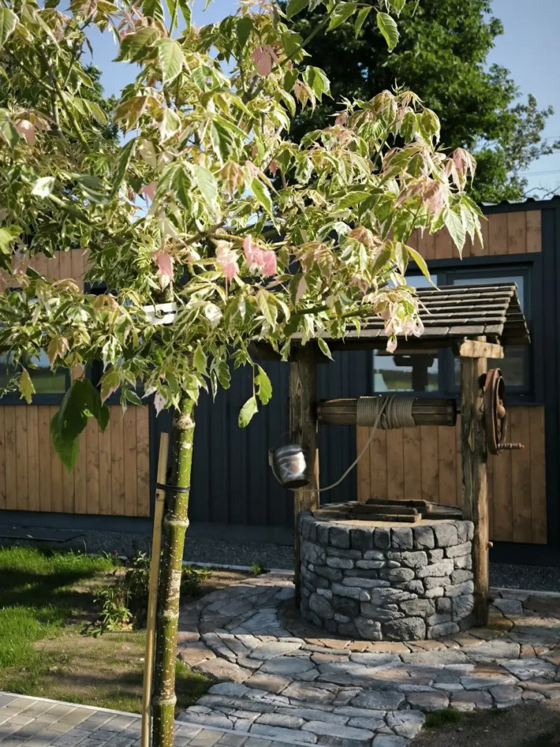 Гостевой дом Журавлиная Ельня