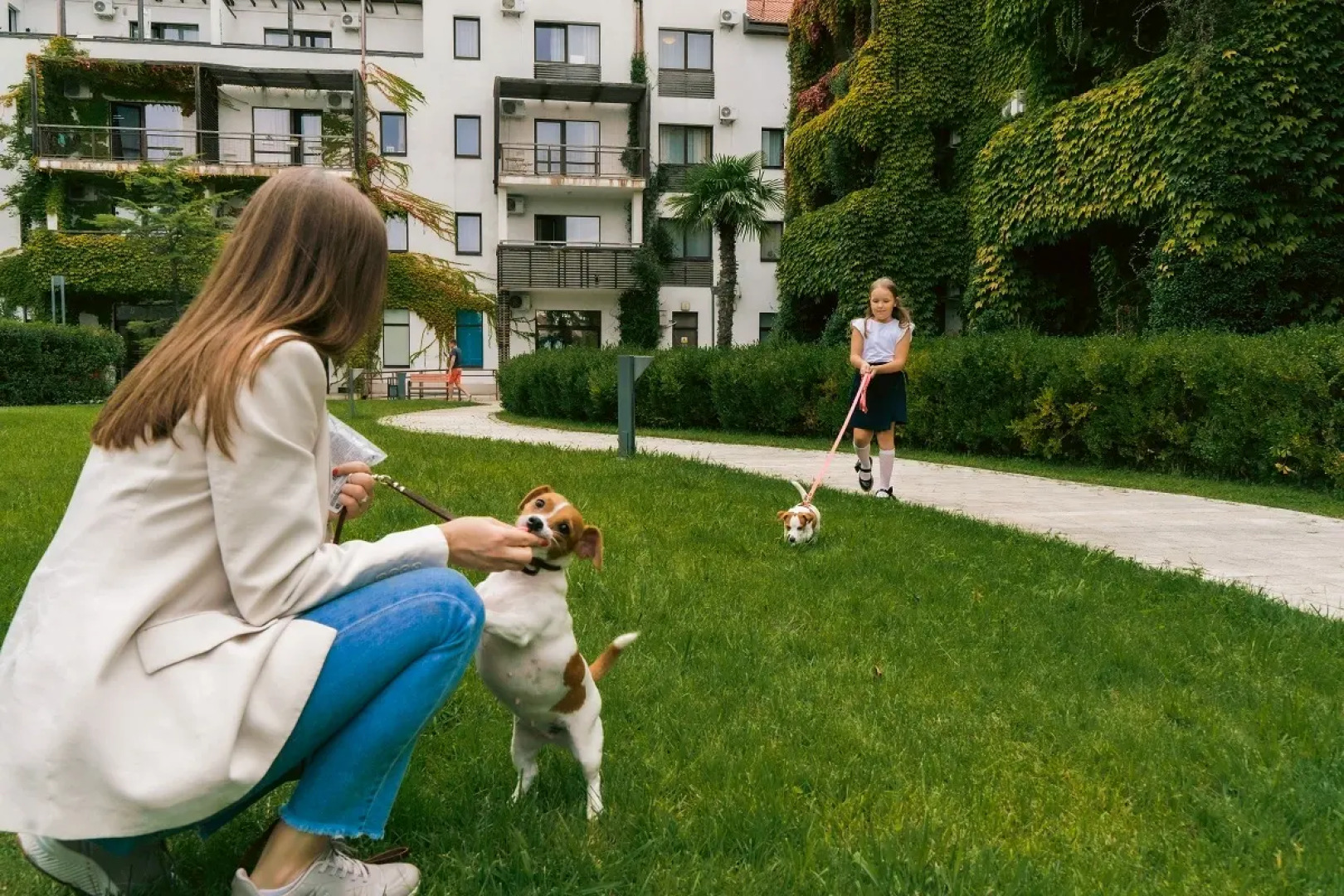 Отель Alpha Sirius