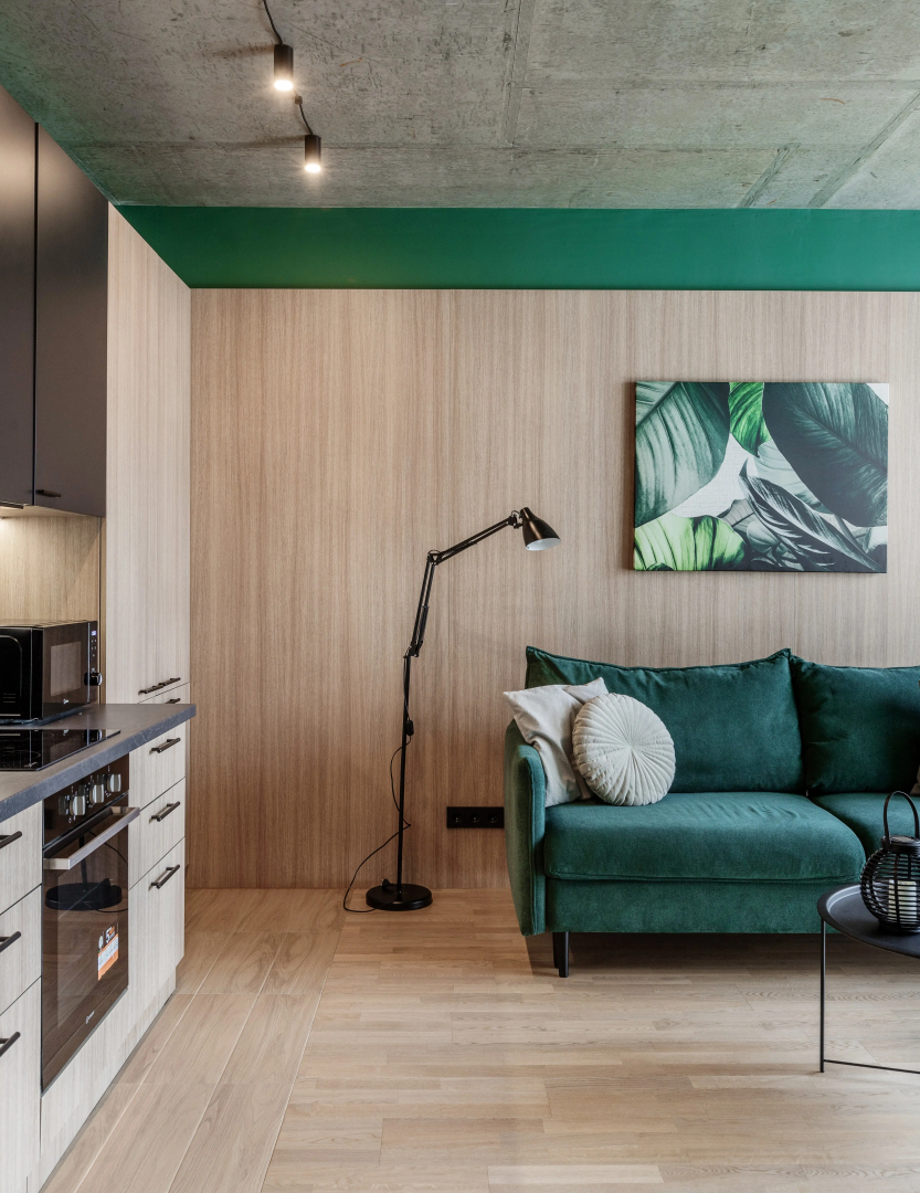 Апартаменты Дизайнерские с видом на парк