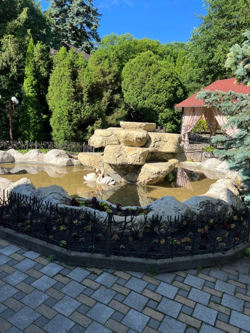 Отель Лесная поляна