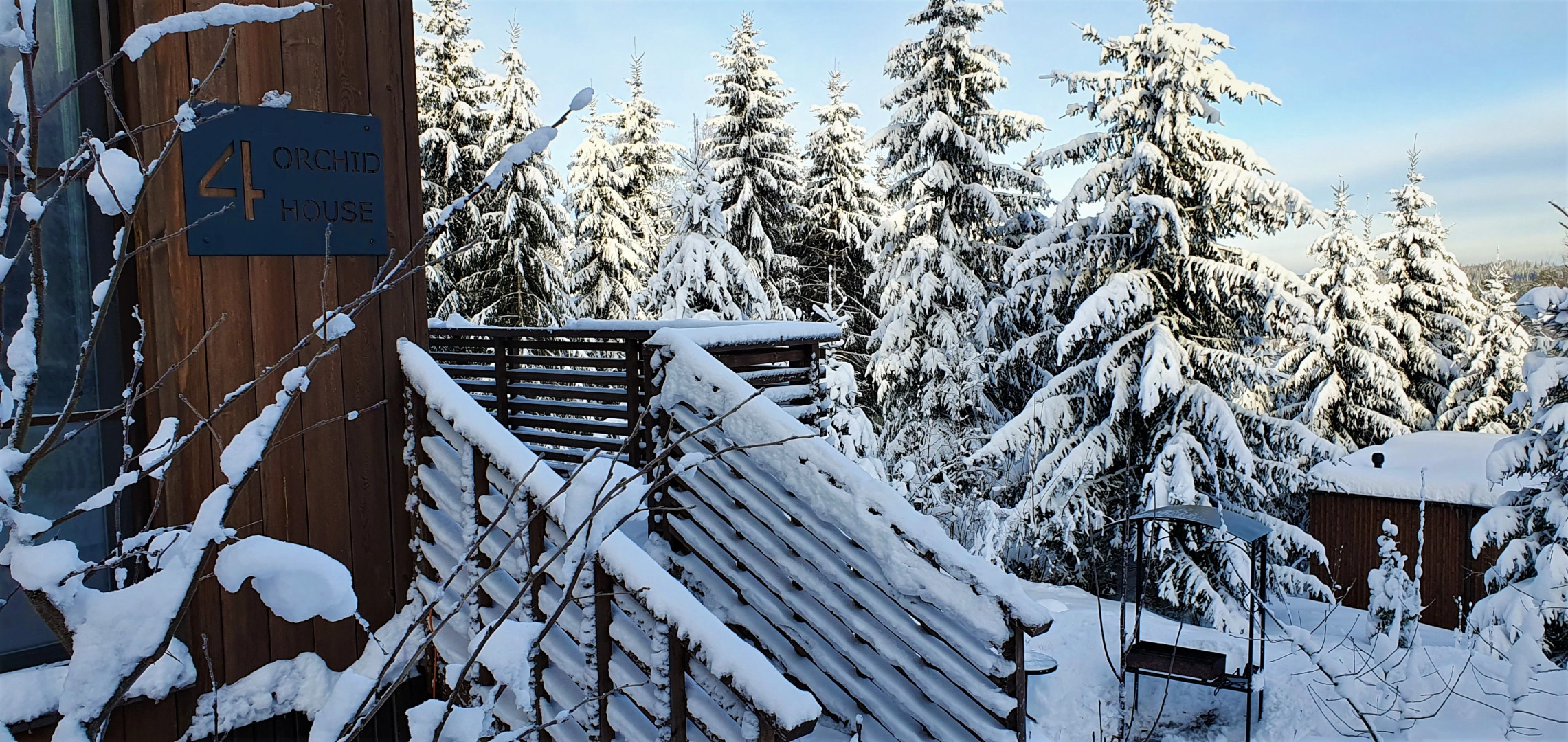 Коттедж Черничный Склон Orhid House