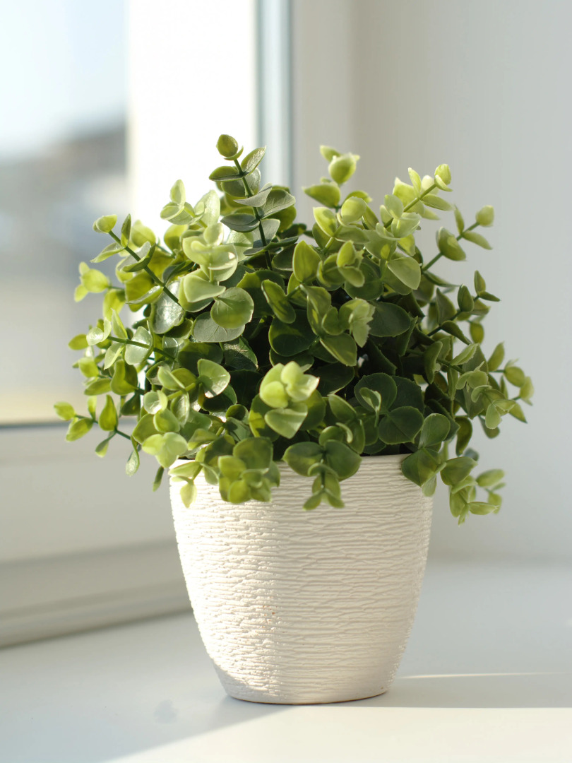 Меблированные комнаты Калинин