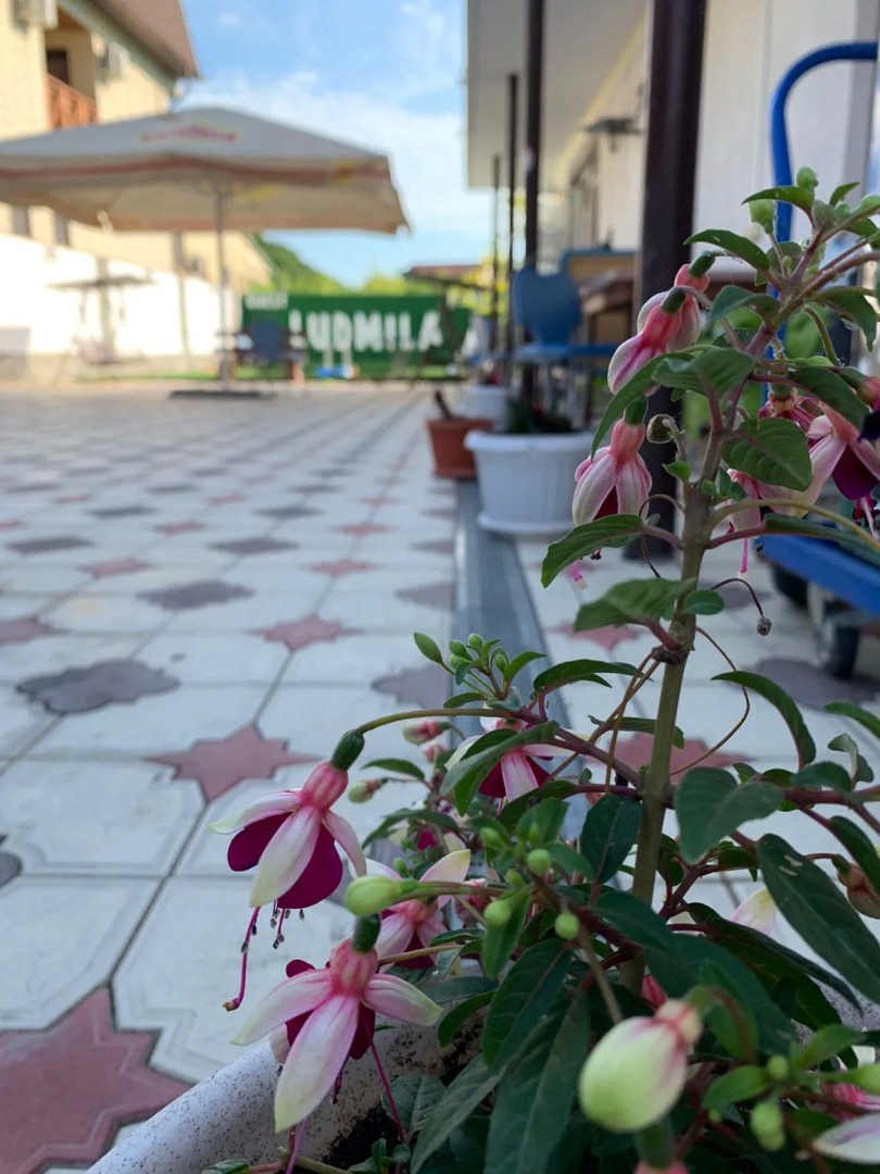 Гостевой Дом Людмила