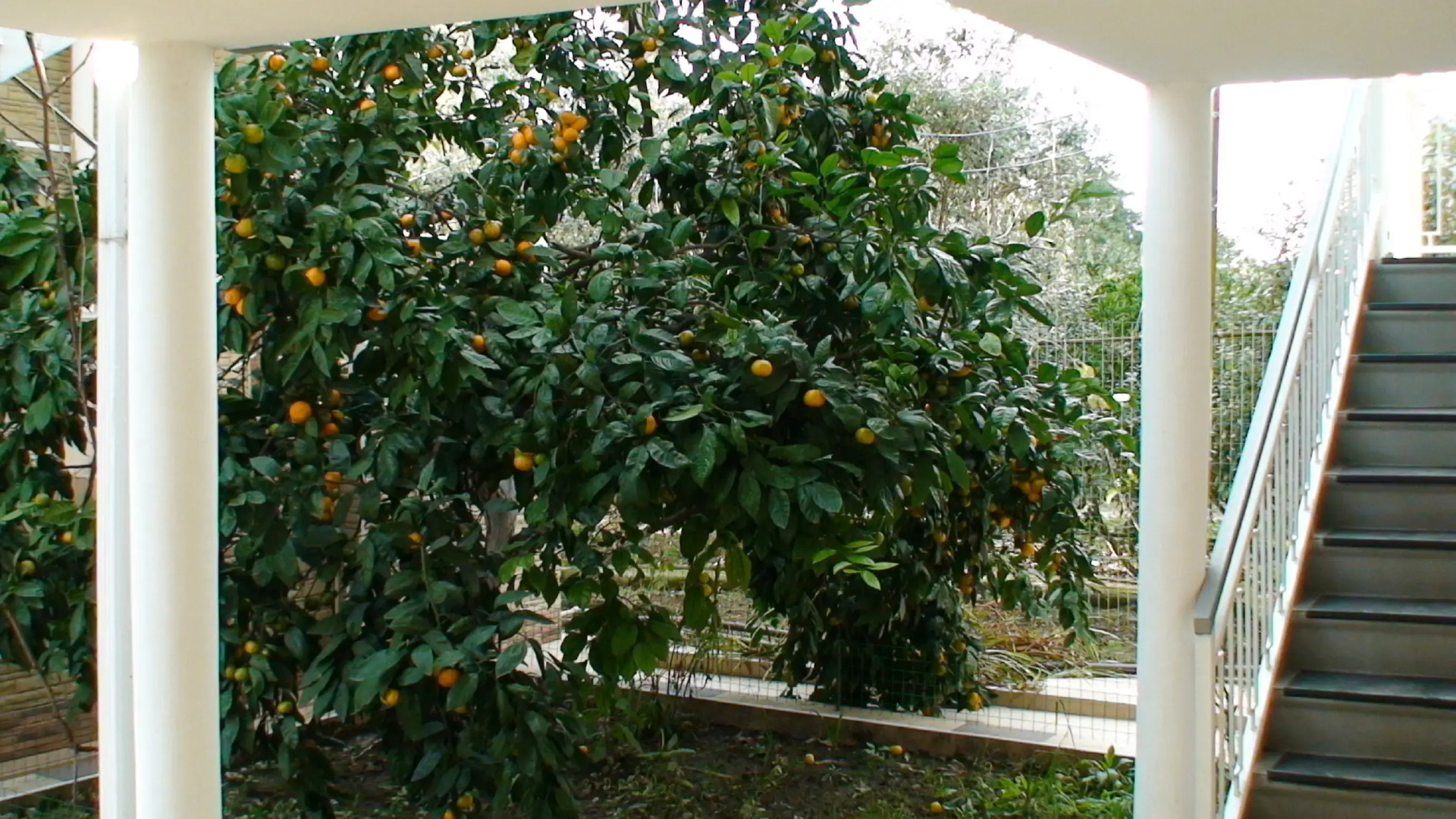 Мини-отель Гостиница Домик в Гаграх