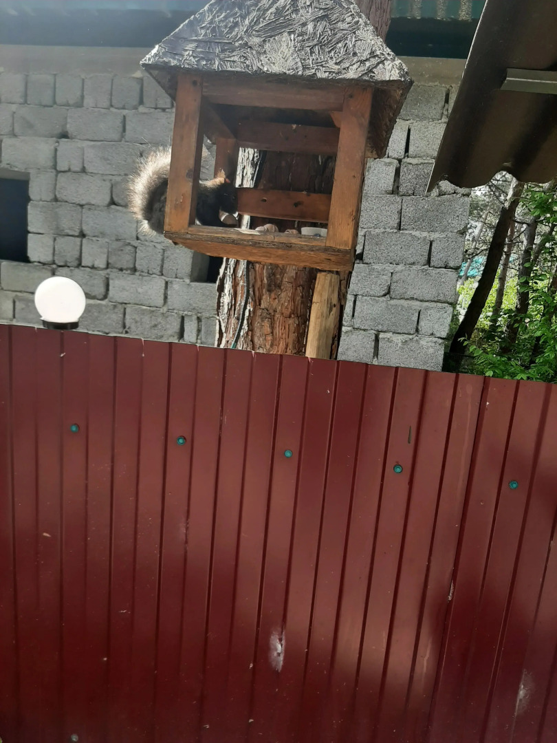 Гостевой Дом у Дяди Федора