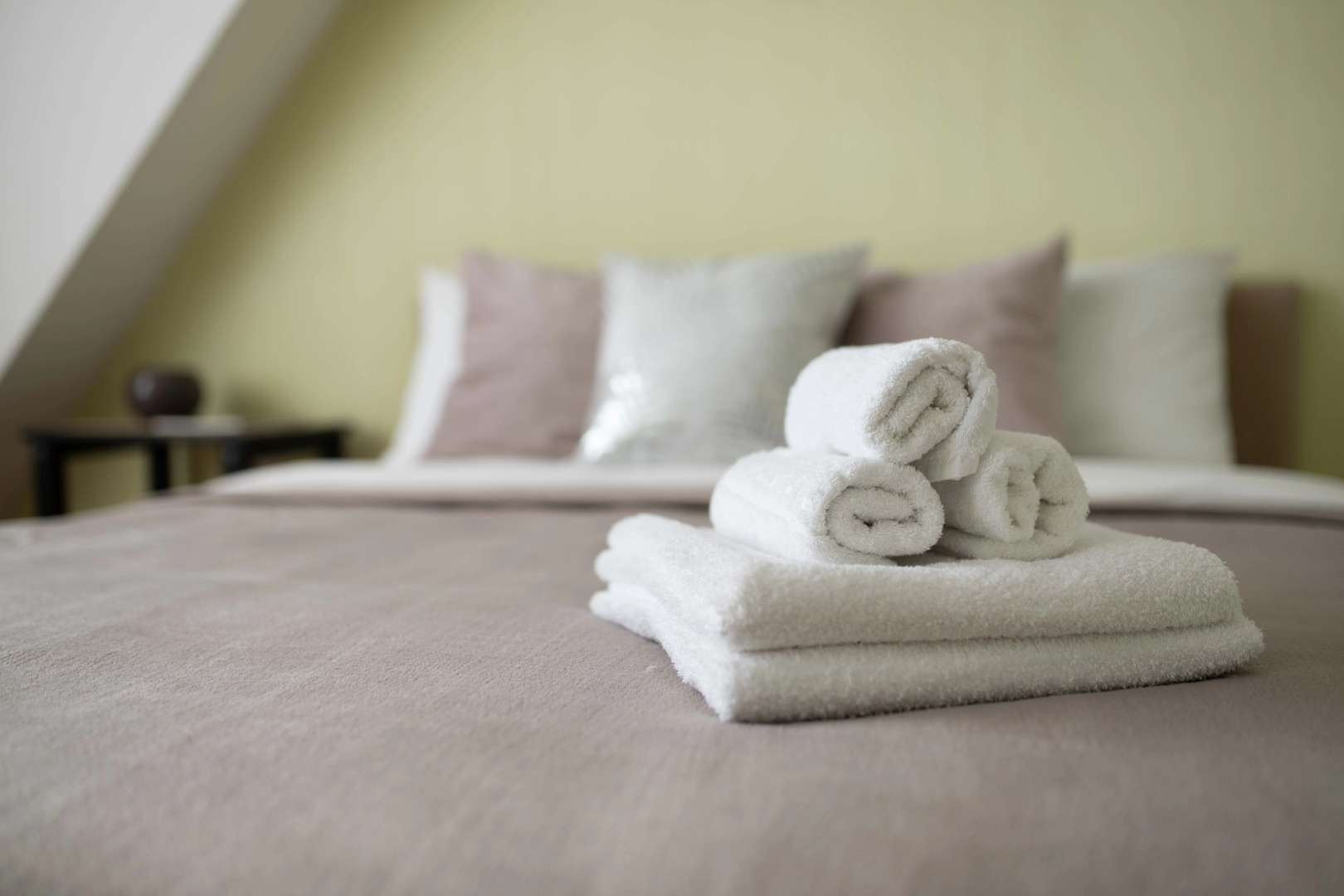 Квартира с видом рядом с парком