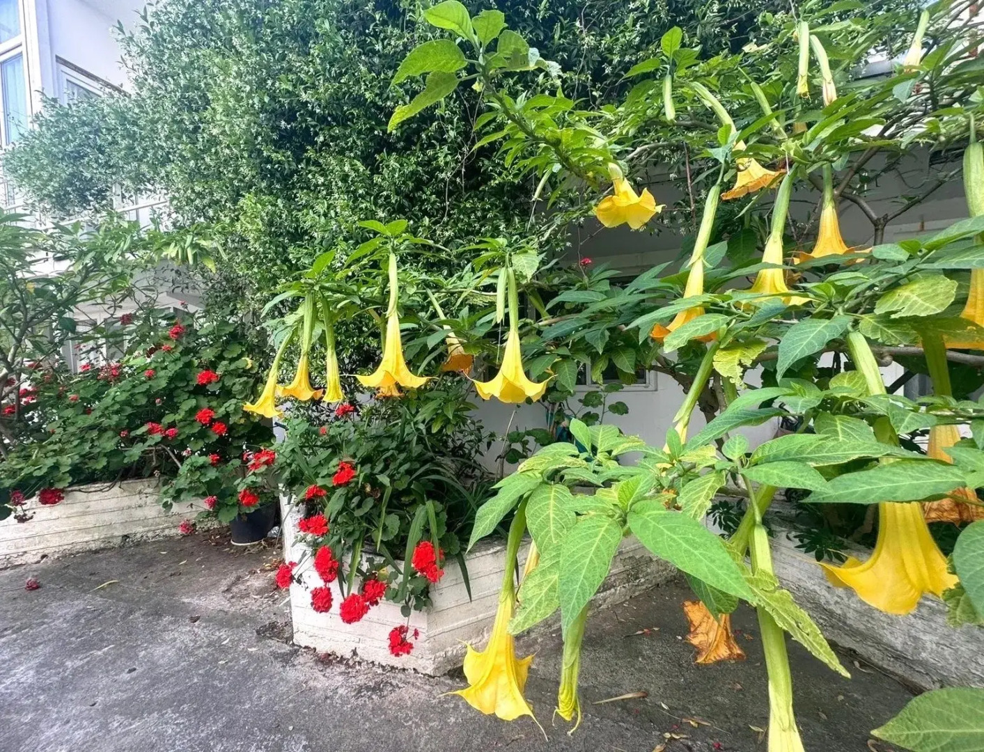 Гостевой дом Лазурный