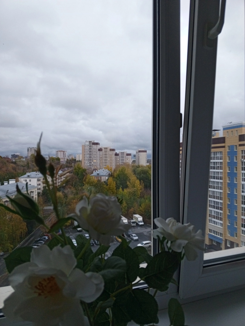 Квартира На Спартаковской