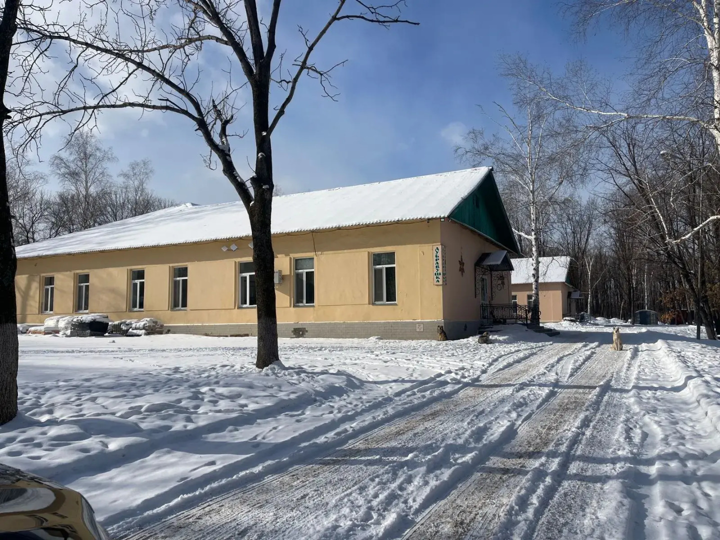 Дубравушка