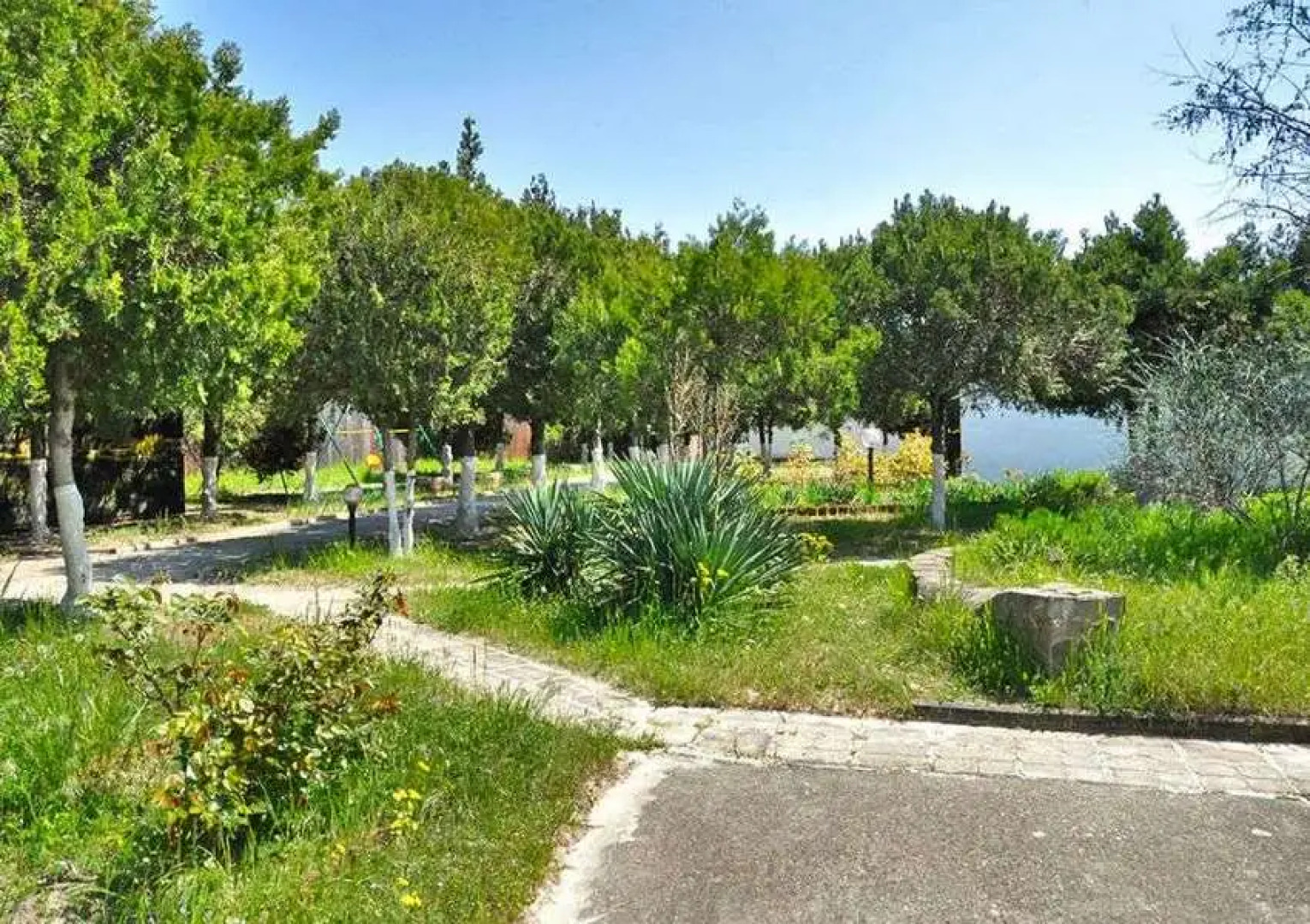 База отдыха Динамо 1