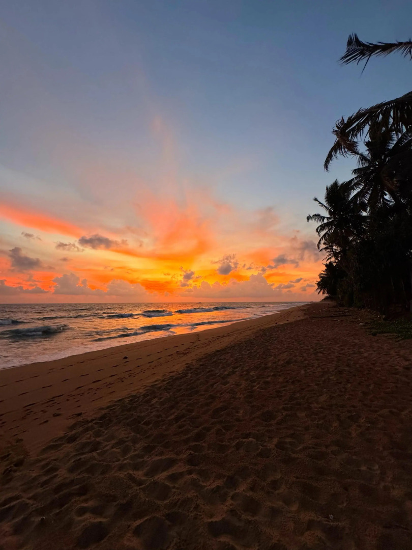 Отель Moi Induruwa by DBI