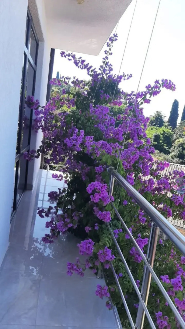 Гостевой дом Элида